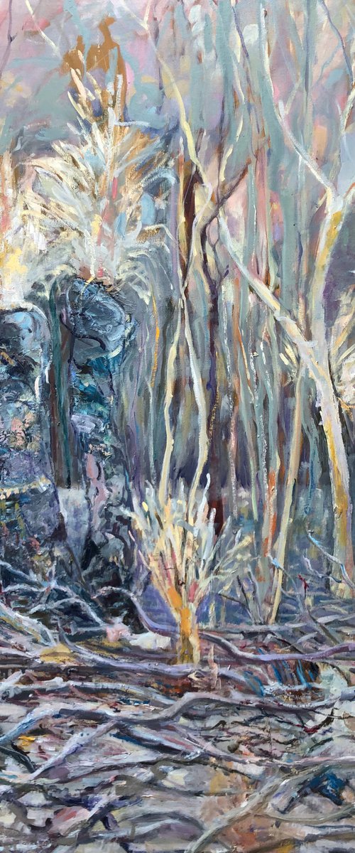 AFTER THE FIRE - KANGAROO ISLAND by Maureen Finck