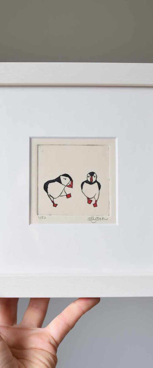 Puffins by Sally Fisher