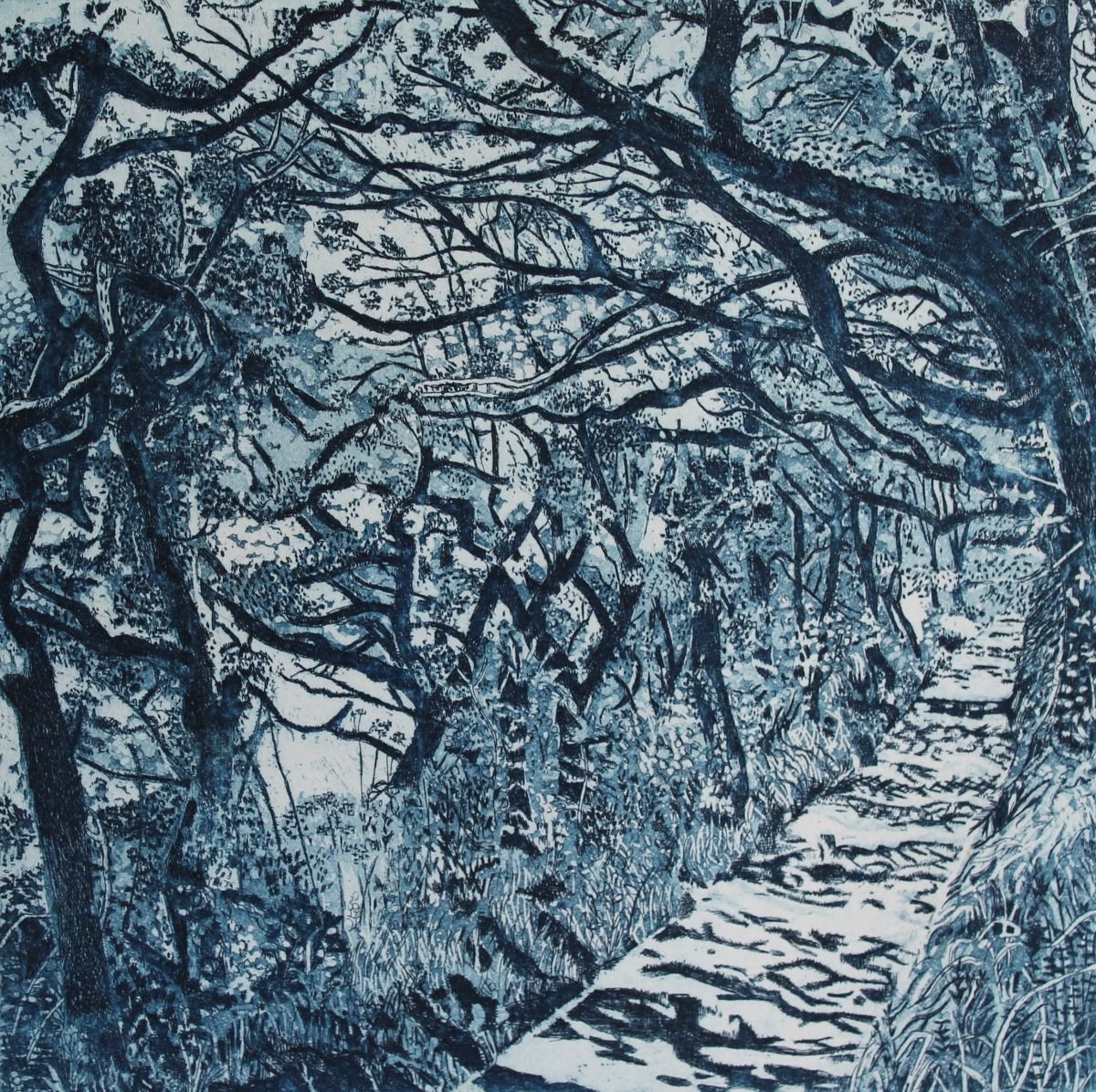 Photorealistic Landscape Etchings & Engravings By Janis Goodman, 8 X 8, Shadow Play, Original Artwork