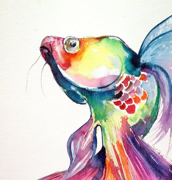 Colorful fish