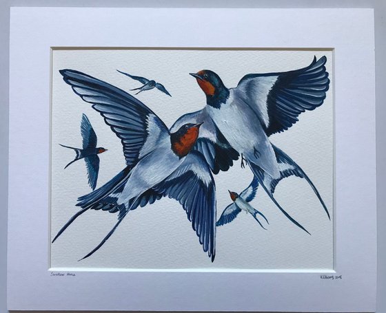 Swallow dance