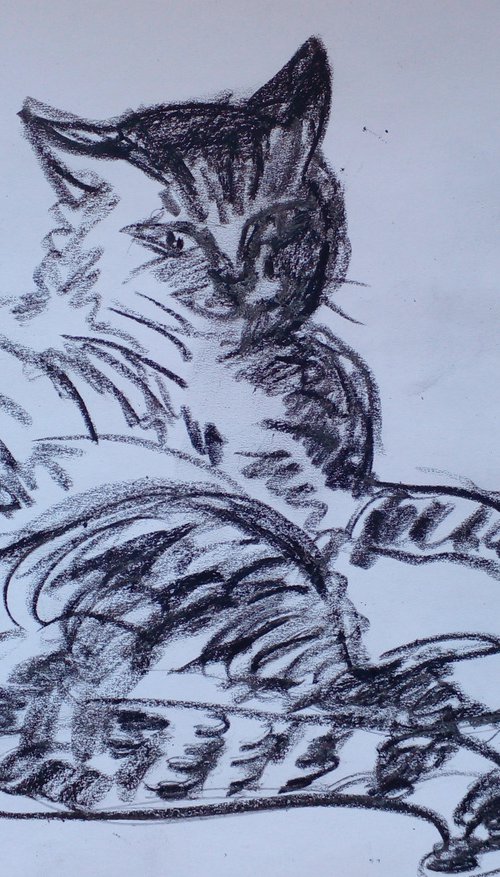 Happy Cat Sketch 1 by Oxana Raduga