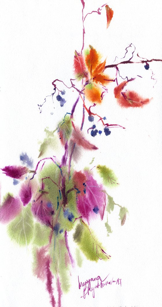 Sprig of wild grapes. Watercolor