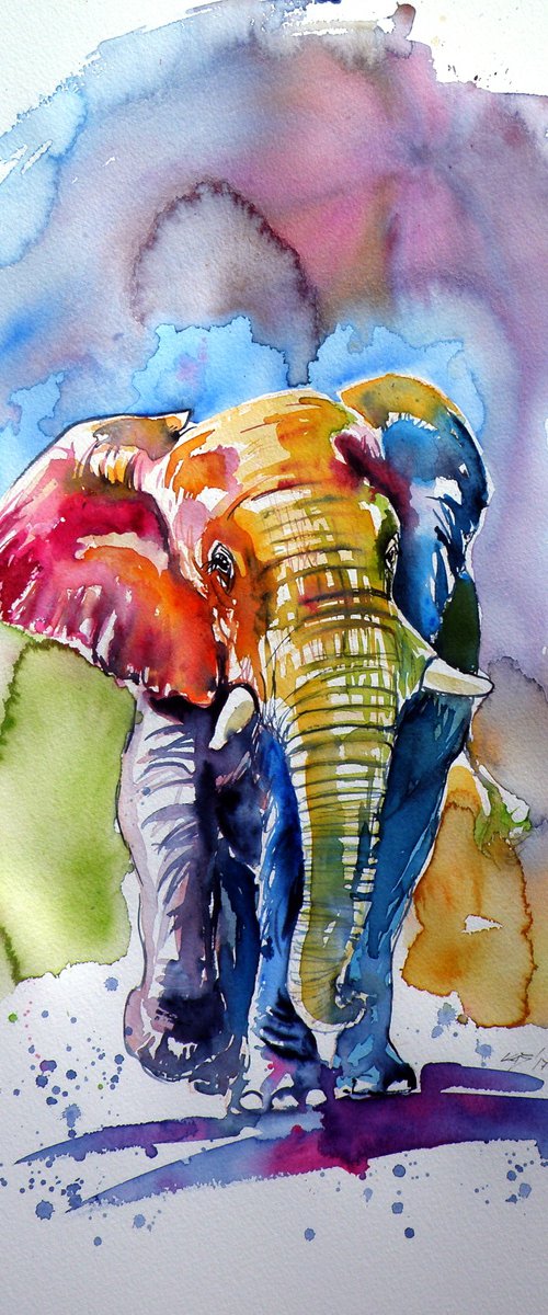 Colorful elephant by Kovács Anna Brigitta