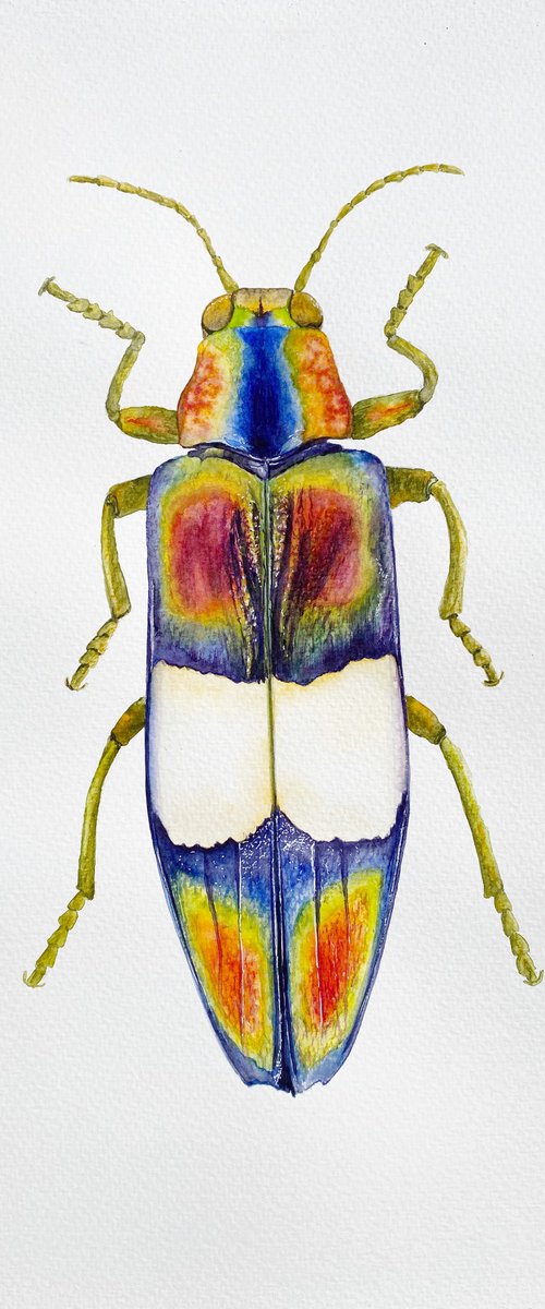 Radiant Majesty: Chrysochroa Edwardsi Beetle 2 by Tetiana Savchenko
