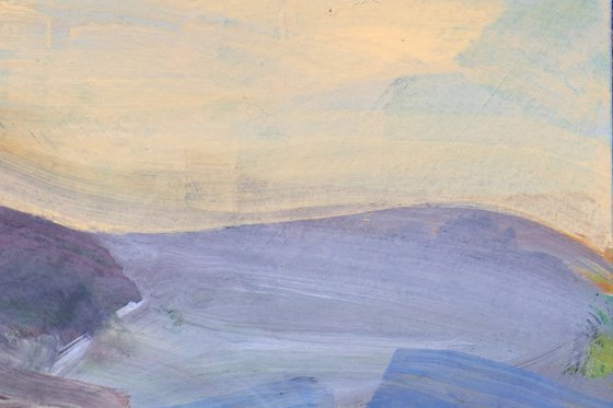 Lavender Fields