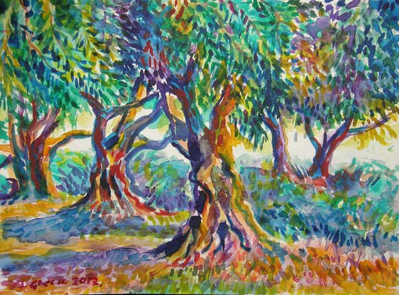 Old olive orchard II