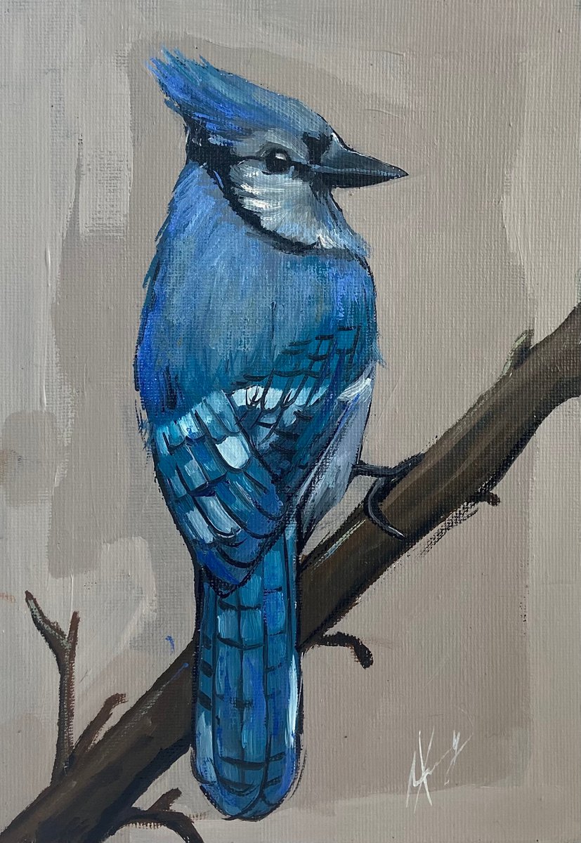 Bird painting Blue Jay 22x16cm (6x8inch) original oil art by Leysan Khasanova