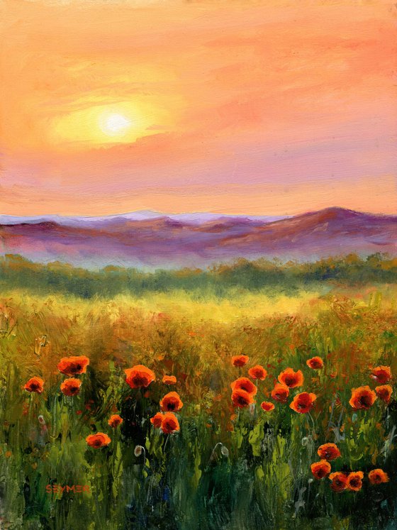 'Sunset poppies'