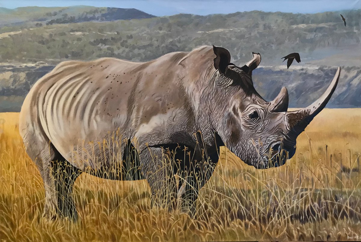 Original oil painting Rhinoceros - 120x80 cm (2019) by Evgeniya Roslik