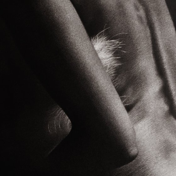 Don't Let Me Go