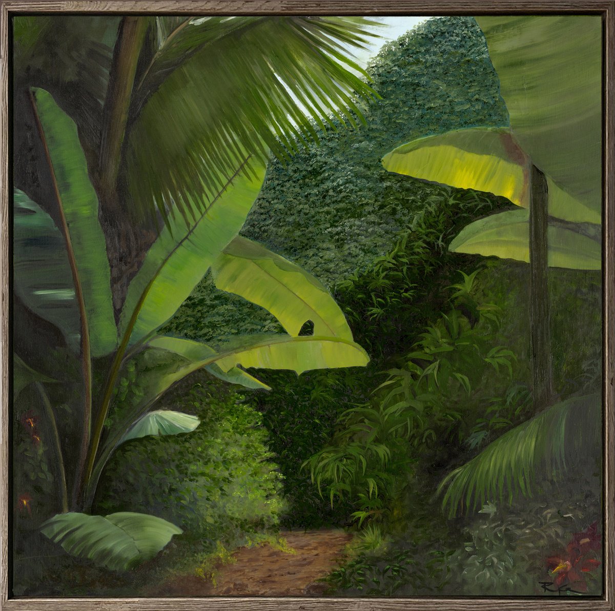 Walk Into The Rainforest By Robert Kerr, 33 X 33, Artwork For Sale On Artfinder