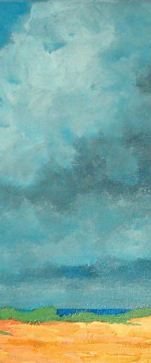 Storm Over Holkham Beach by David J Edwards