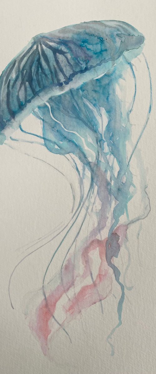 Jellyfish 1 by Teresa Tanner