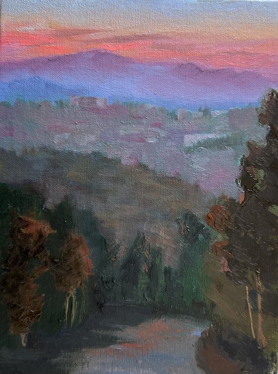 Laguna Woods Wilderness