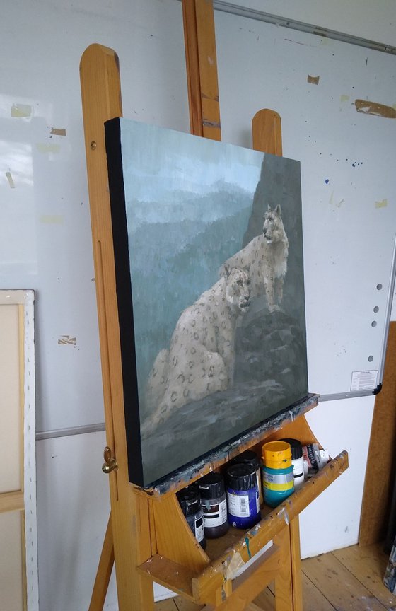 Realm of the Snow Leopards