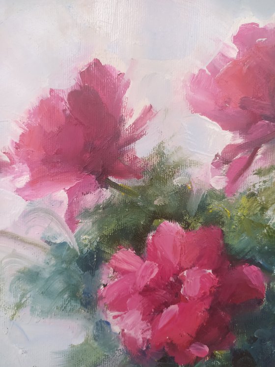 Peonies in a vase