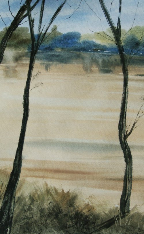 Amazon river by Elena Gaivoronskaia