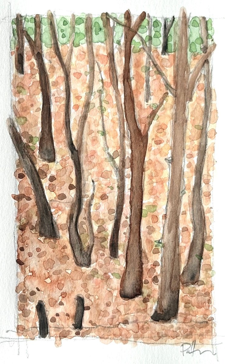 Impressionistic Landscape Painting By Steve Potts, 5 X 7", Debden Woods, Original Artwork