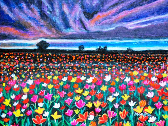 Floral fields Tulips at sunset