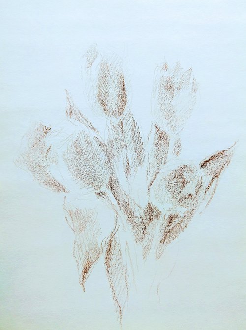 Tulipes #5. Original pencil drawing. by Yury Klyan