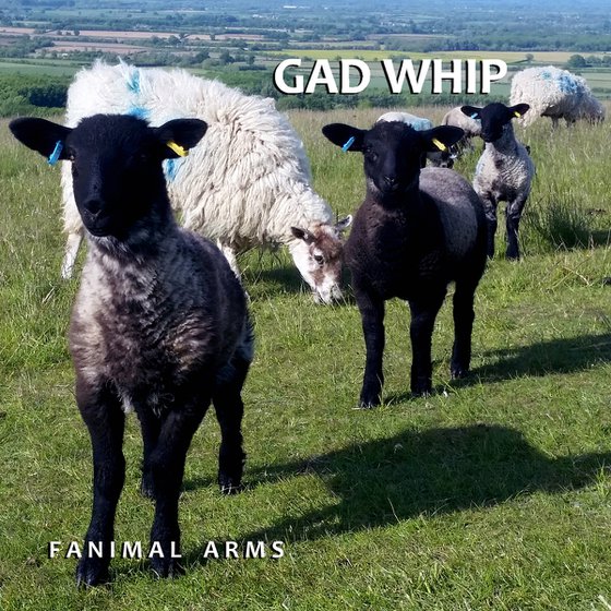 GAD WHIP - Fanimal Arms Test Pressing #01