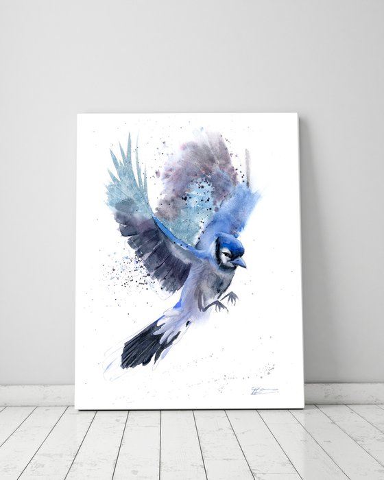 Flying Blue Jay