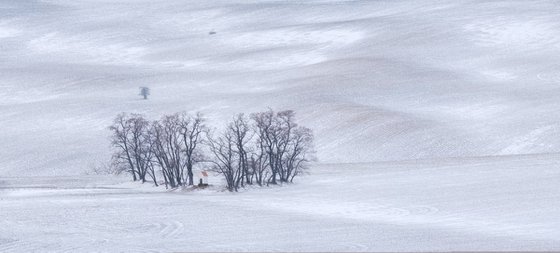 Saint Barbora Chapel in winter