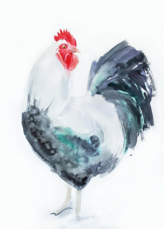 WATERCOLOR PAINTING BIRD COCK