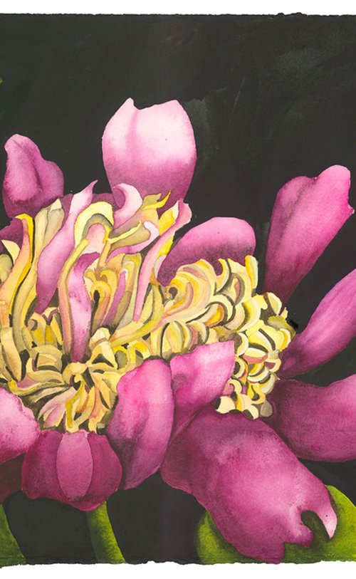 Spring Surprise by Mary Lyn Gough