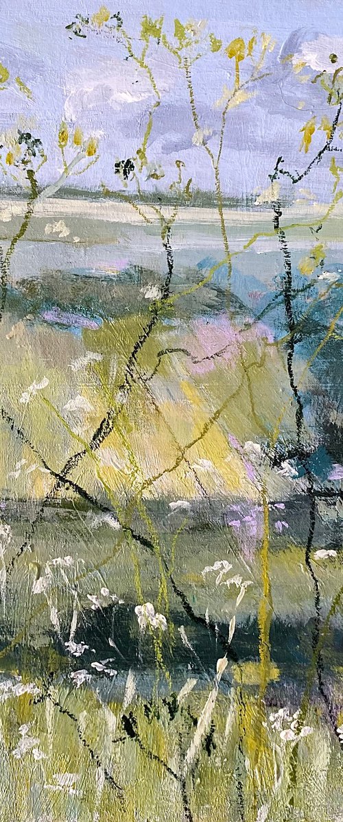 Last Of The Cow Parsley by Nikki Wheeler