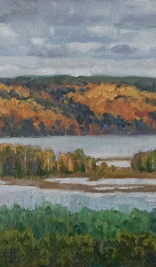 View of the Kama River by Olga Goryunova