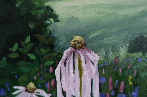 In fields of daisy's
