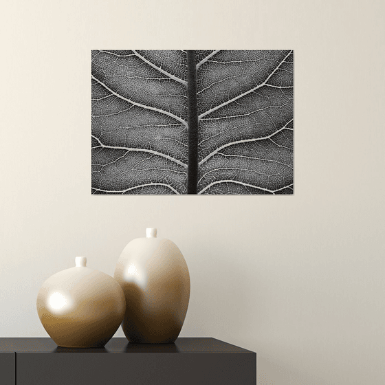 Leaf Veins III