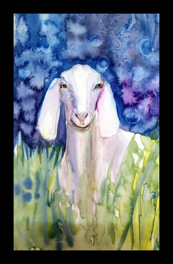 The White Goat  Limited Edition Archival Prints on paper