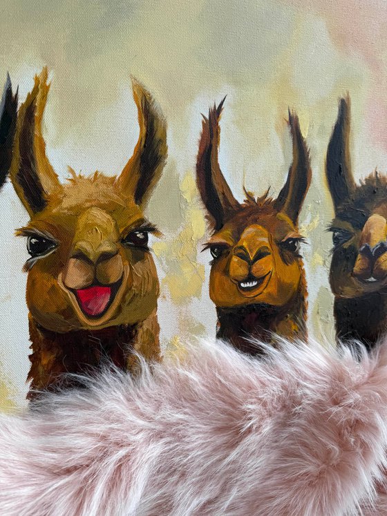 Five Friendly Alpacas