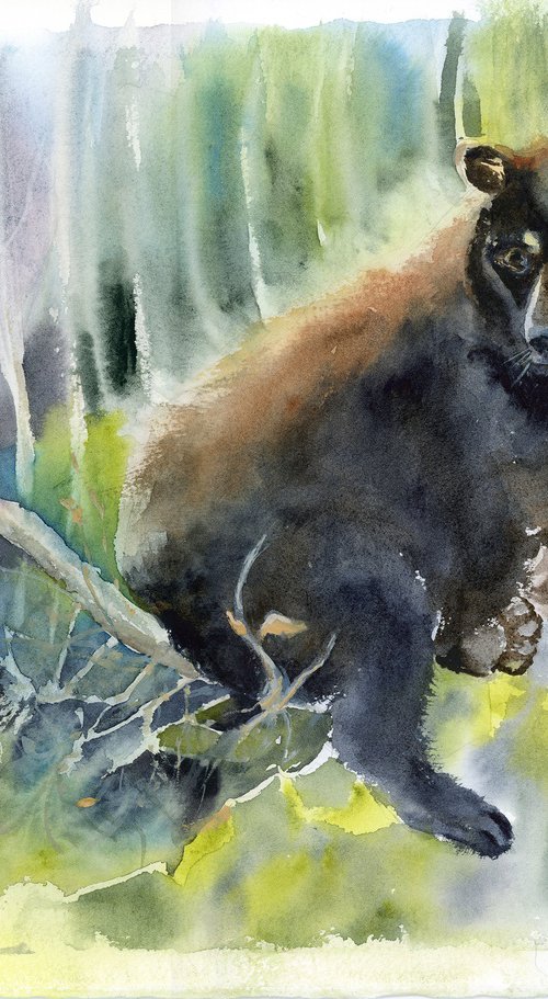 Forest Explorer by Olga Tchefranov (Shefranov)