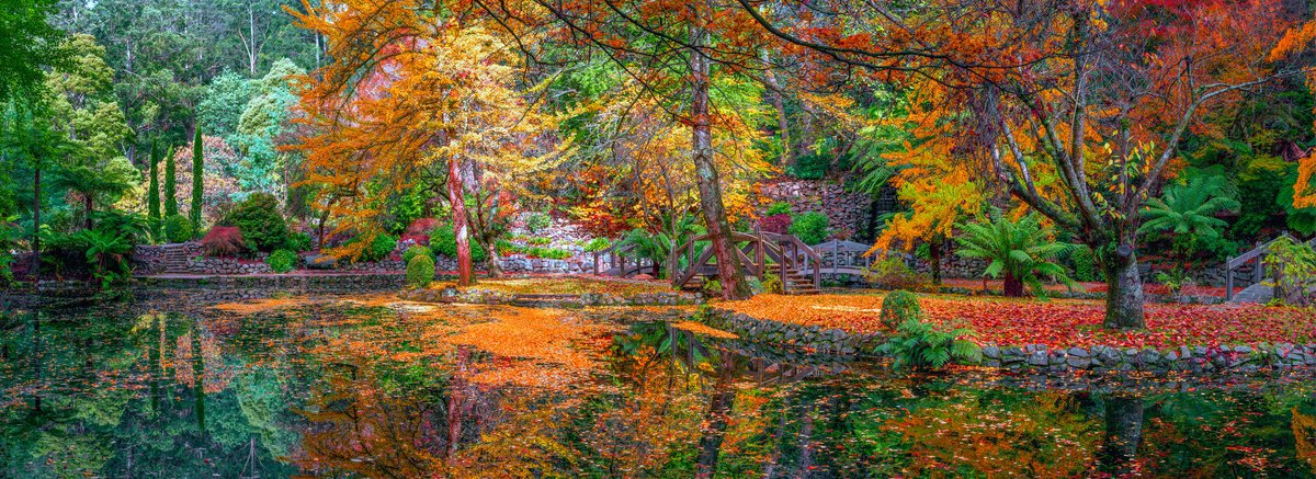 Photorealistic Botanical Photograph By Nick Psomiadis, 64 X 24", Sherbrooke V, Original Artwork