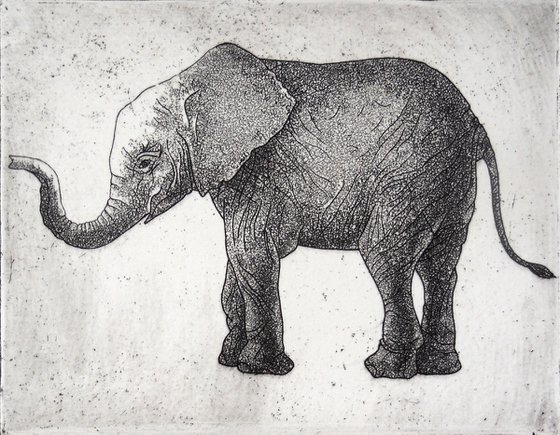 Elephant