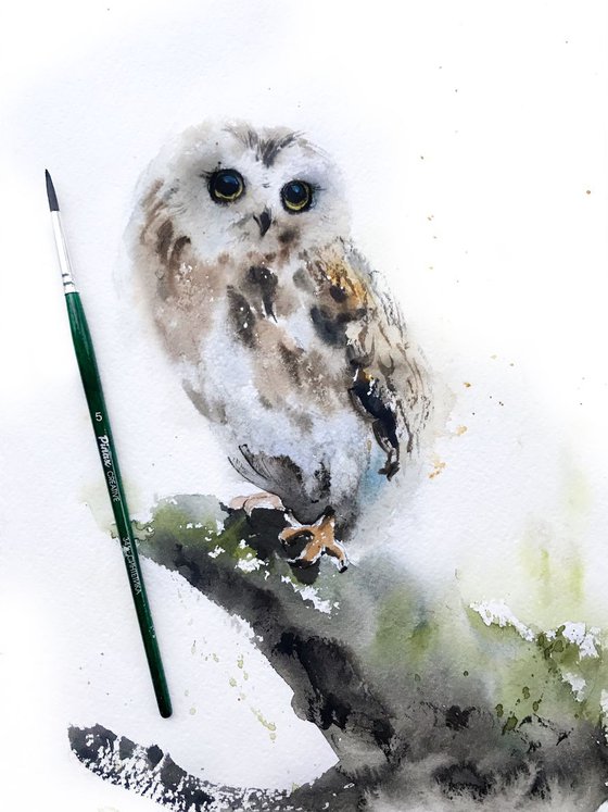 Owl on a branch - 20 x 29 cm