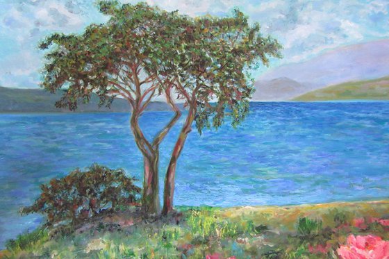 Summer breeze-Large Original Oil Painting Landscape Seascape Tree See Floral Field Hill Impressionism Modern Office Home Art Decor Painting  80x60 cm (31.5x23.6 in)