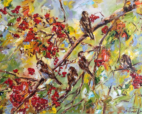 Sparrows in the Rowan-Tree