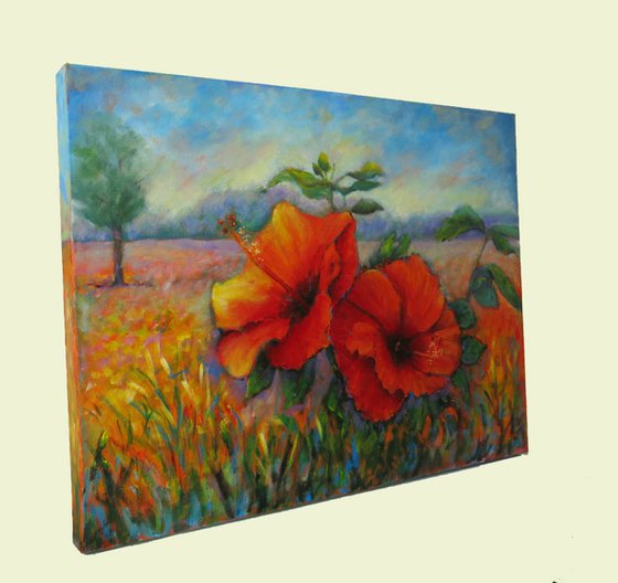 Hibiscus Flowers in a landscape