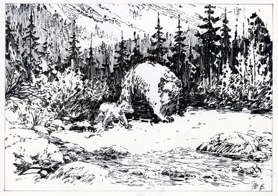 Imagining Bears