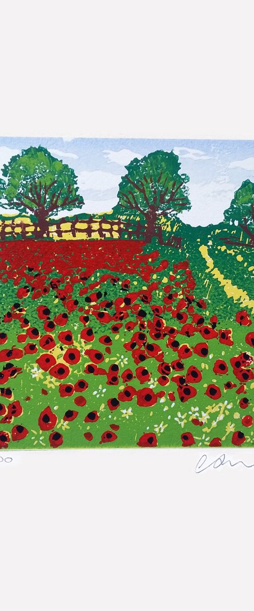 Poppy fields by Carolynne Coulson