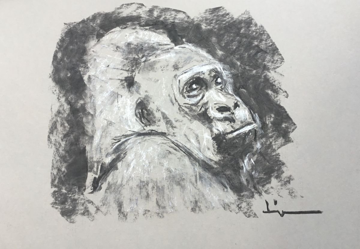 Expressive Animal Charcoal Drawing By Dominique Deve, 17 X 12, Close To Me, Original Artwork