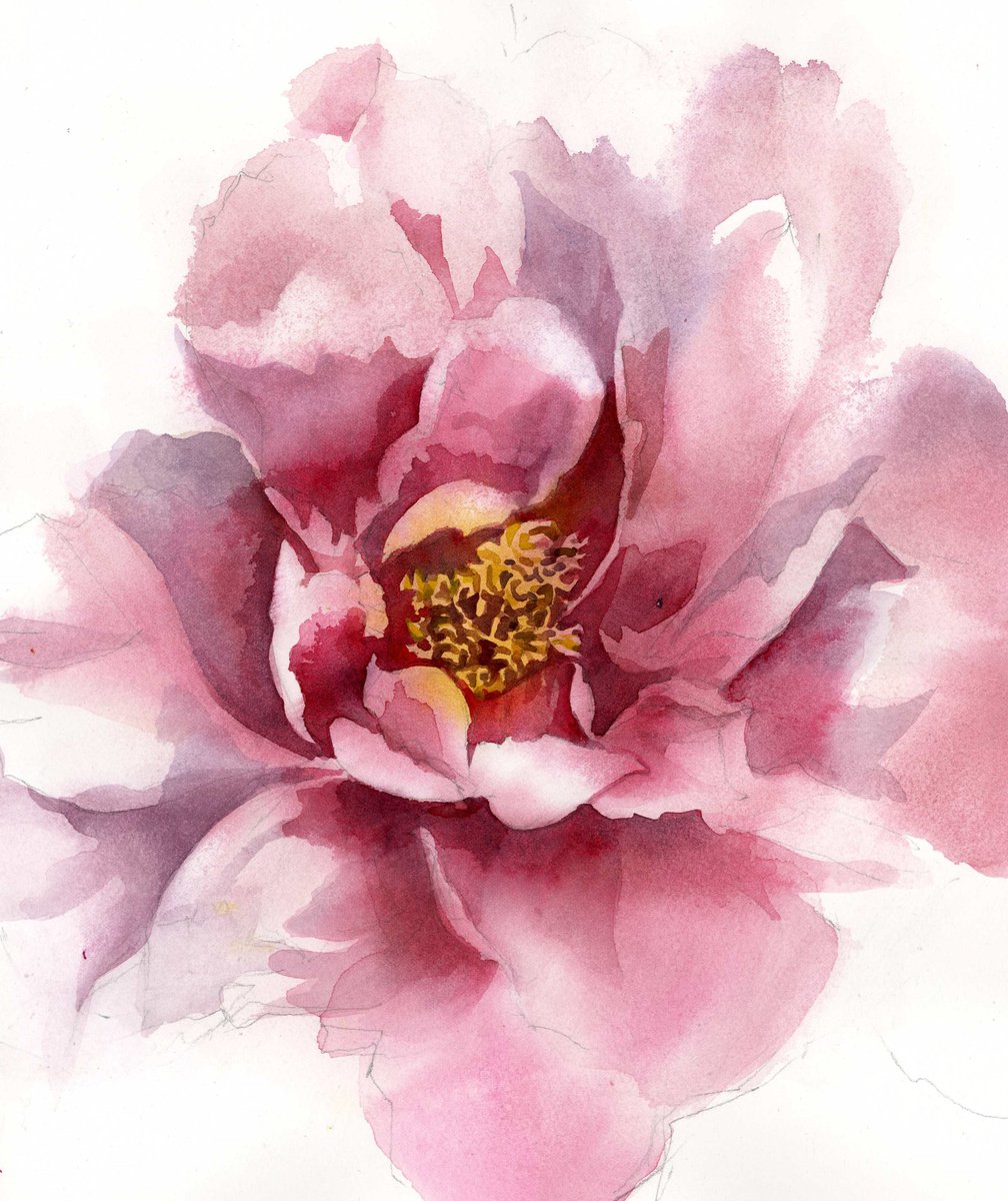 Impressionistic Botanical Watercolour By Alfred Ng, 11 X 13, Peony In Pink, Original Artwork