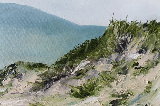 Murlough Dunes Irish Landscape