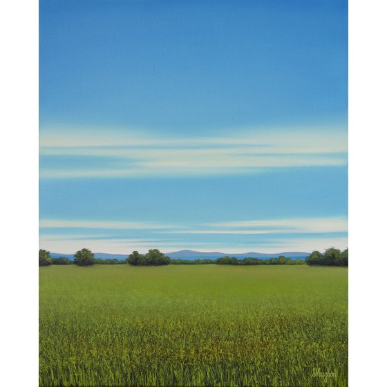 Lush Grass - Blue Sky Landscape