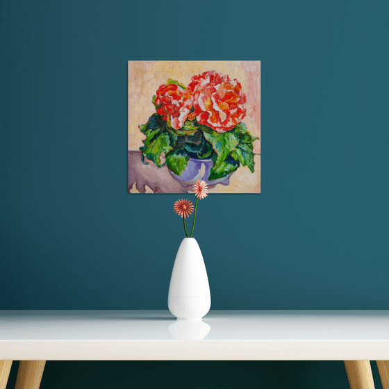 Begonia